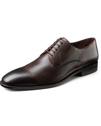 Brown shoe Wilvorst 2016_448314-60_Model-290