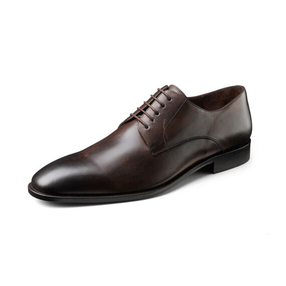 Brown shoe Wilvorst 2016_448314-60_Model-290