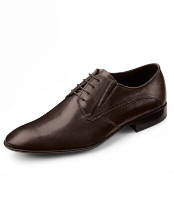 Brown shoes Wilvorst_2016_448318-60_Model-0225