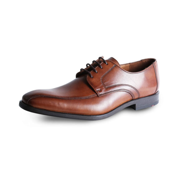 Daran brown shoe by Llyod