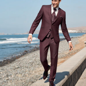 Fader fage Helt tør barriere Bordeaux 3 Piece Suit - Tom Murphy's Formal and Menswear